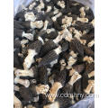 Edible fungi processing company